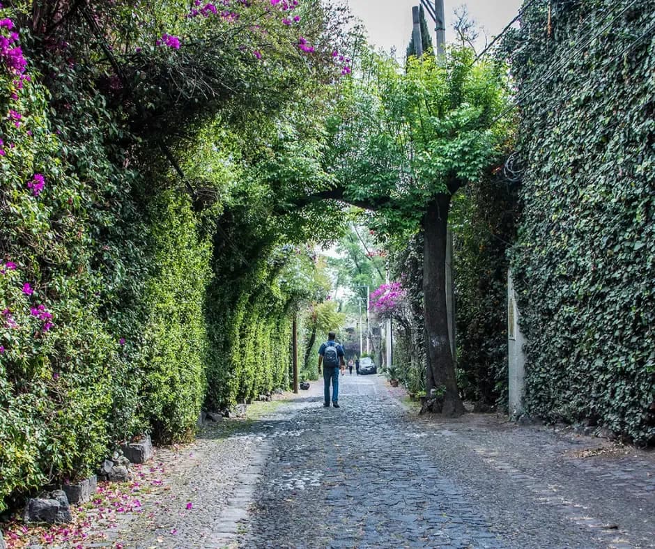 Image of Architectural Walking Tour in Mexico City
