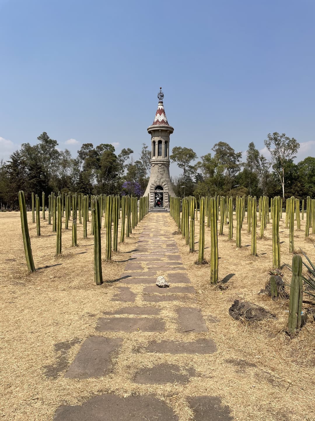 Photo from Chapultapec bike tour
