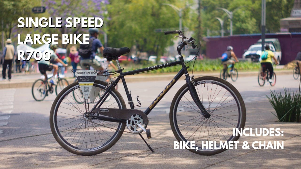 Single speed large bike