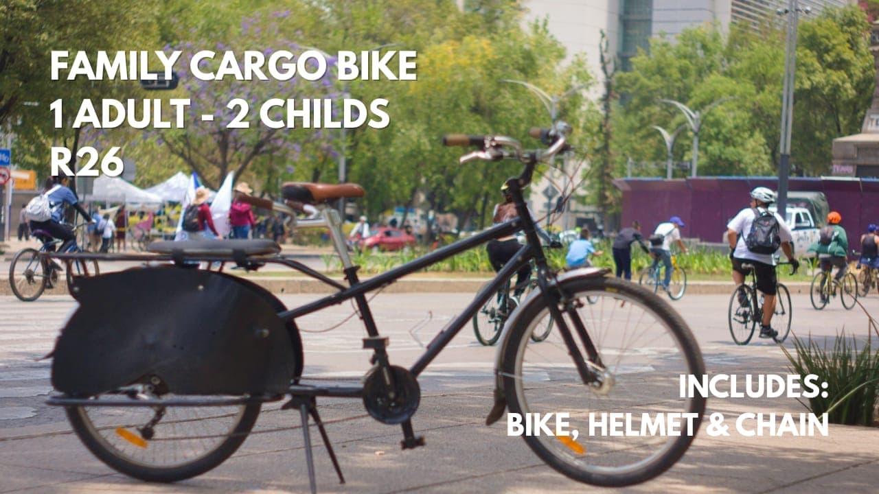 Cargo bike (family bike)